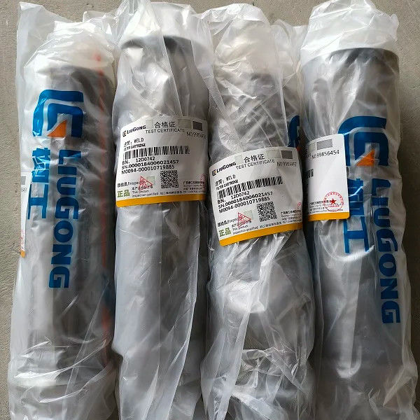 کارتریج فیلتر معدن انرژی تضمین شده 12D0742 بخش موتور فیلتر روغن برای Liugong